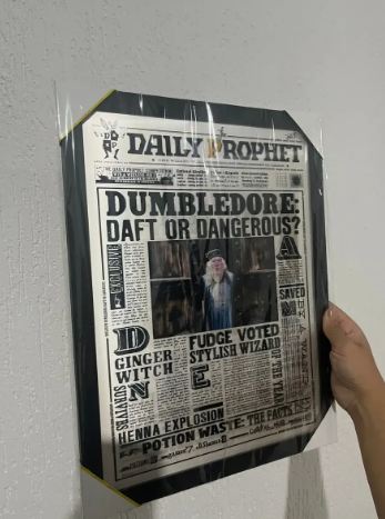 Quadro 3d Harry Potter - Jornal Profeta Diário Dobby Free