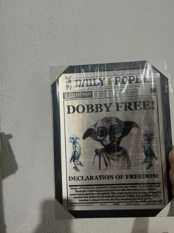 Quadro 3d Harry Potter - Jornal Profeta Diário Dobby Free