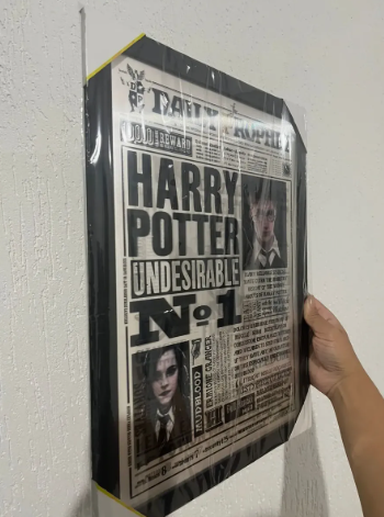 Quadro 3d Harry Potter - Jornal Profeta Diário Dobby Free